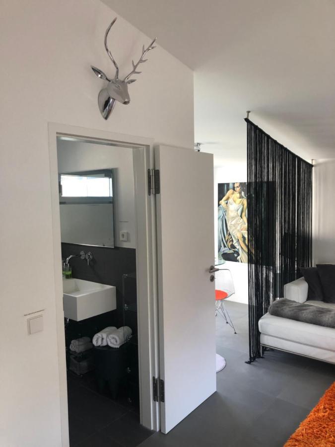 Modernes Studio Auf Der Sonnenterrasse Baden-Baden Luaran gambar